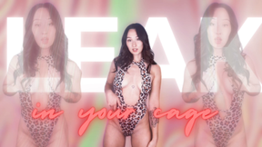 leak in your cage