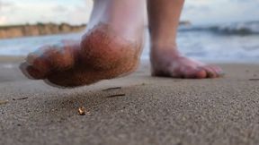 Beach Squishes