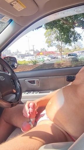 Naked in the Car