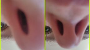 Flaring Nostrils Up Close