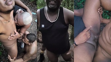 Fui levar os ursos para conhecer o parque
