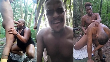 Fui levar os ursos para conhecer o parque