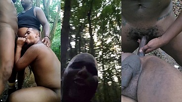 Fui levar os ursos para conhecer o parque