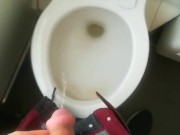Unpacking and pissing in the clogged train toilet