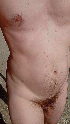 Exhibitionist Naked boy walking with cock