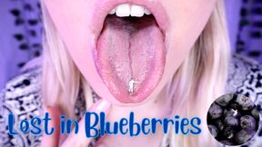 Lost in Blueberries - HD