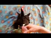 Dragon Toothless Plush in Head 2