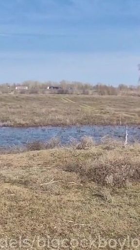 Fuck Me on the Side of the Road, Shove a Big Cock with Cum up My Ass