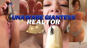 Unaware Giantess Realtor: Tiny Home Inspection