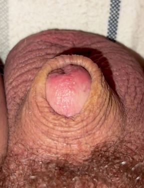 Trying to wake up my little wiener