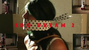 Edo Dream 2