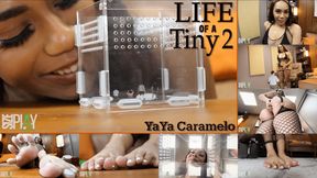 Life of a Tiny 2 Featuring YaYa Caramelo
