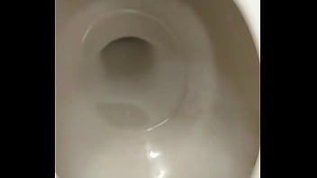 Tranny fucked toilet