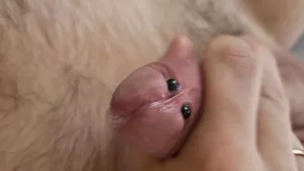 Uncut Austrian Twink Calmly Jerks His Big Cock to Cumshot