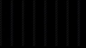 The Wizard's Friend, Part 2 (WMV Format)