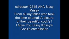 Sissy Krissy'_s Cock'_s Compilation