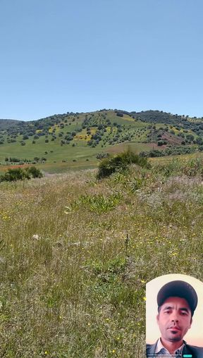 The nature blow my mind