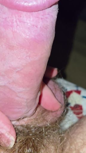 An up close tour of my cock and balls.