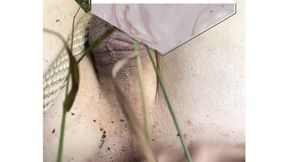 stuffing asshole outdoor