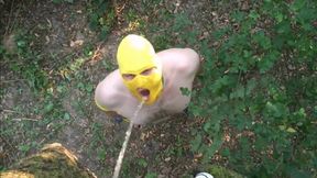 Pissing Master Uses Slave Outdoors for Pleasure