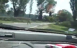Hard tranny fucking in a car