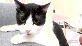 ”Analized - London River gets her butthole used”