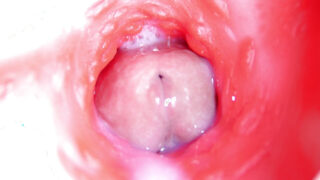 Røff sex røff, svart, uten kondom, stor svart pikk, kontor – stor pikk Russiske homofile horer knuller analt