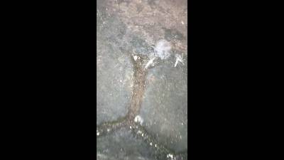 Pov When you told her spitting on ground is gross