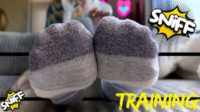 Sock Sniffer Training