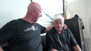 Medvědí gayové dostávají anální souložit