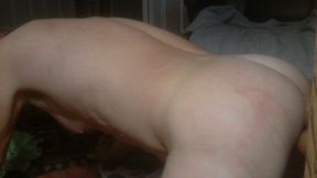 Love a Big Toy in My Ass