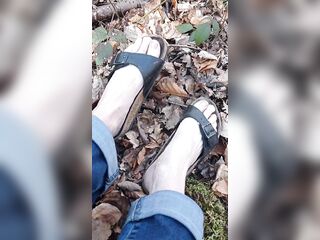 A little sunshine in the forest