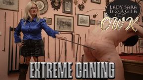 OWK - Extreme Caning (4K)