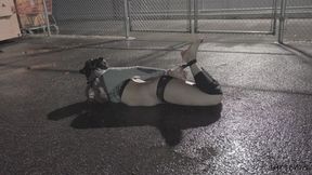 Rain Hogtie