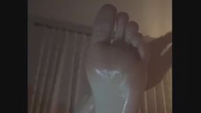 One Command. One Foot. Total Obedience