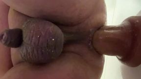 New dildo XXL in my hot ass New dildo XXL in my hot ass