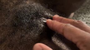 My neighbor is a pervert vol #1