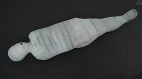 Mummification in a plastic vacuum bag girl exhibit proper storage
