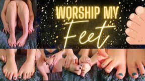 Worship My Feet, Loser