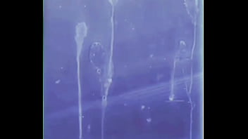 la recompensa del camionero