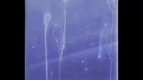 la recompensa del camionero