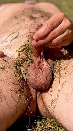 Caressing the Dick, Under the Summer Sun.