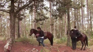 Divertimento all'aperto fatto in casa con ragazzi gay amatoriali che succhiano cazzi e li prendono nel culo