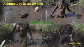 A Sunny Day in the Swamp, 2022-08-09