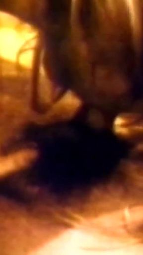 Without Mercy Hit Me Hard