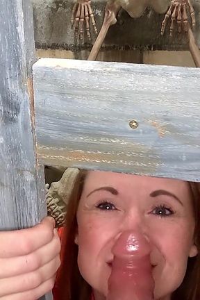 Sucking off the Prison Guard