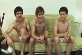 Gay-for-pay guys With meaty Erections Free-for-all Galleries homo Right