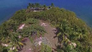 The Island - Damien Stone, Javier Cruz American pound