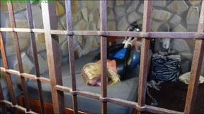 Busty blonde captive left breast bound & hogtied in her cell (MP4 HD 6000kbps)