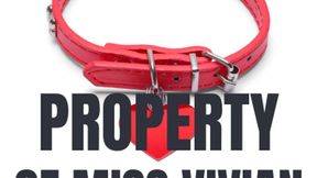 Property of Miss Vivian-Good Pet-Good Boy-Objectification-Free Use-Pussy Worship-Leg Humping